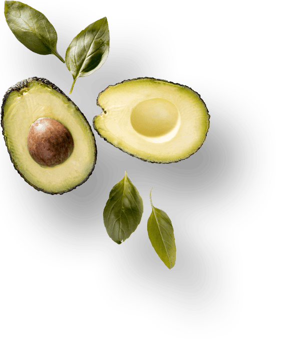 Công ty TNHH Vinh Quang