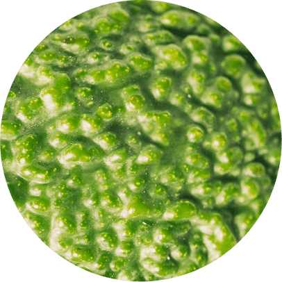 Công ty TNHH Vinh Quang