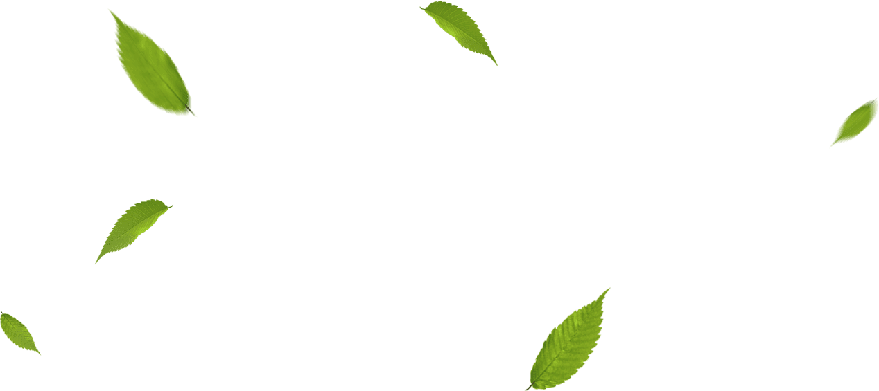 Công ty TNHH Vinh Quang